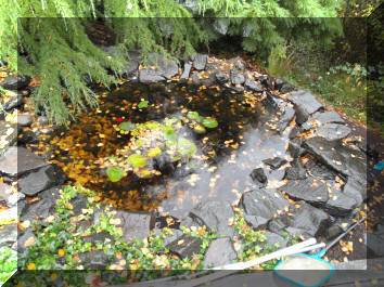 The fish pond...or fire pit?
