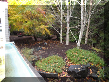 Side "yard"